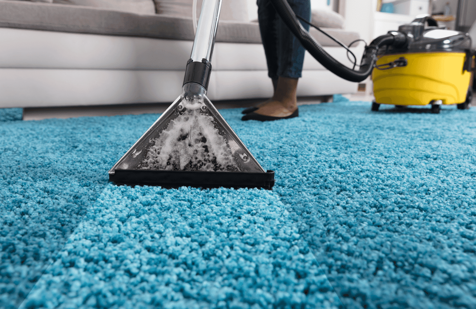 Carpet Cleaning