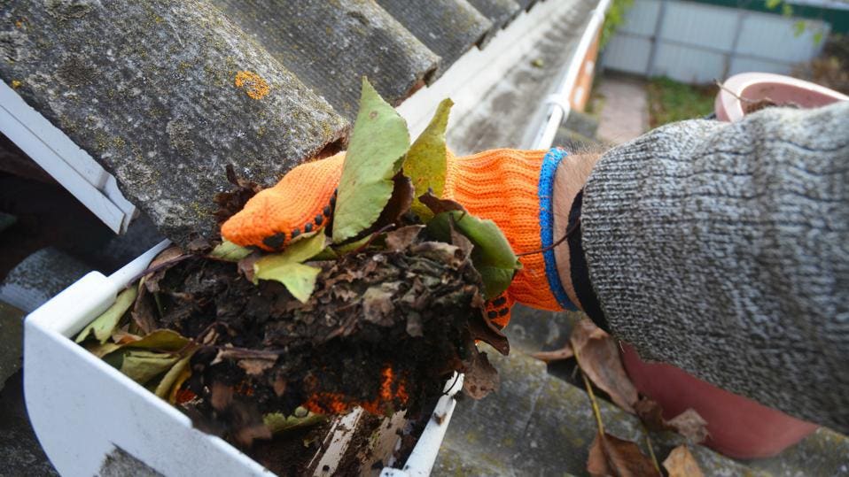 Maintaining Your Gutters Regularly