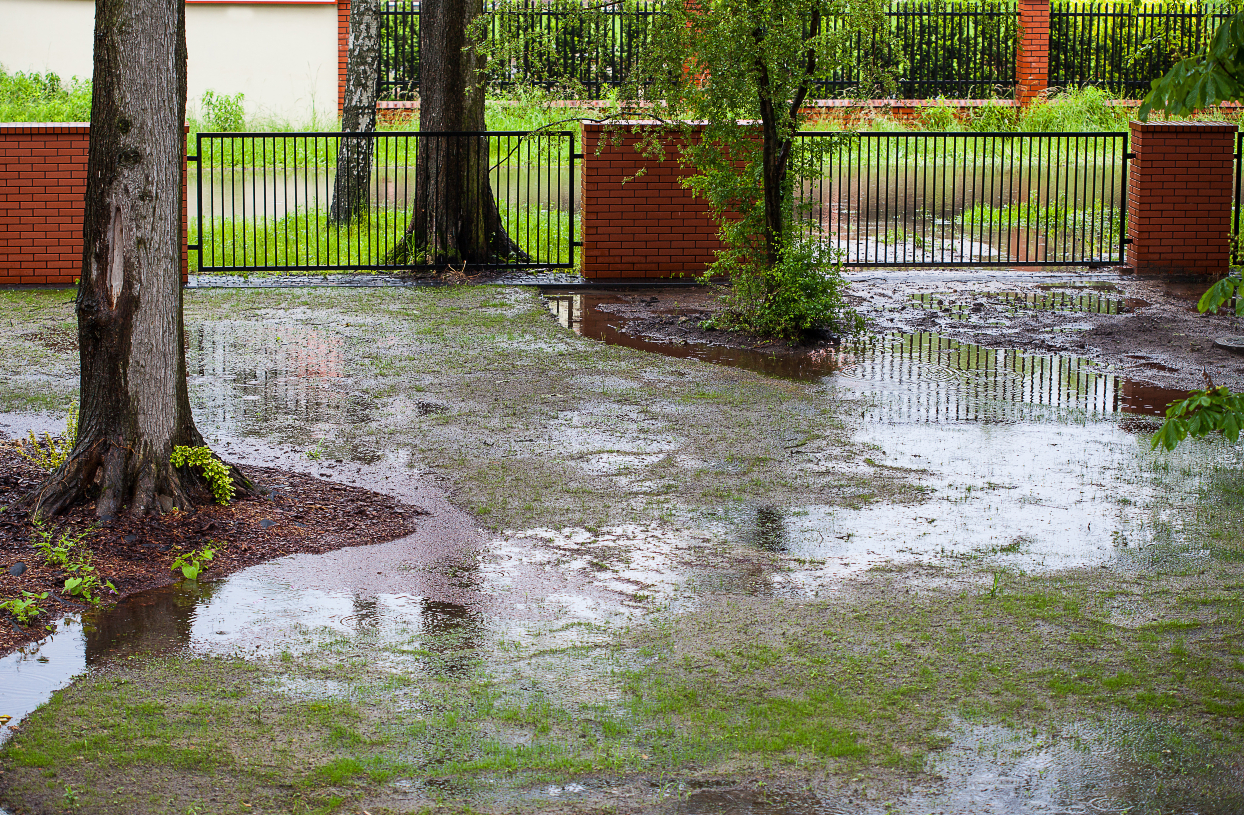 Managing Yard Flooding Pests